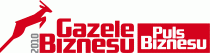 Gazele Biznesu 2010